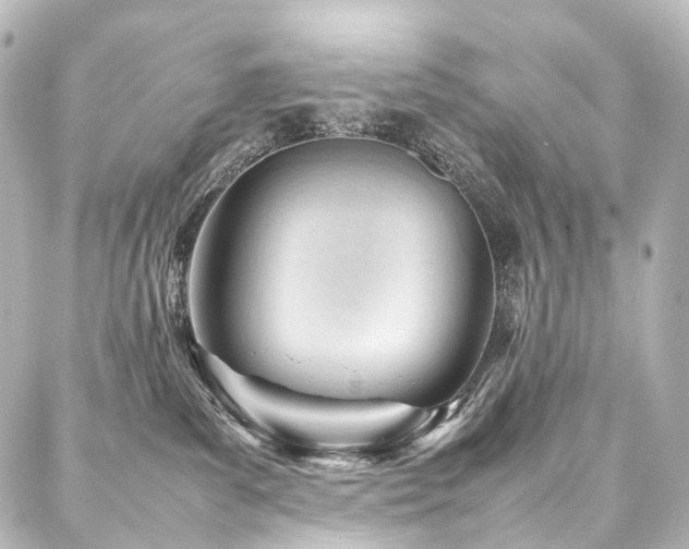 X0000088170139200705151158