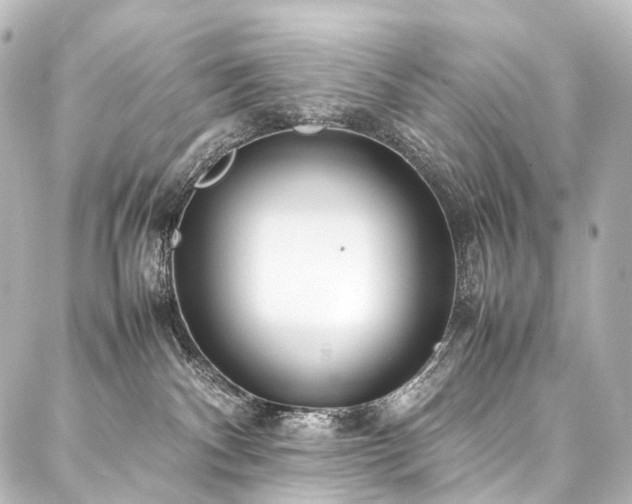 X0000088170140200705151158