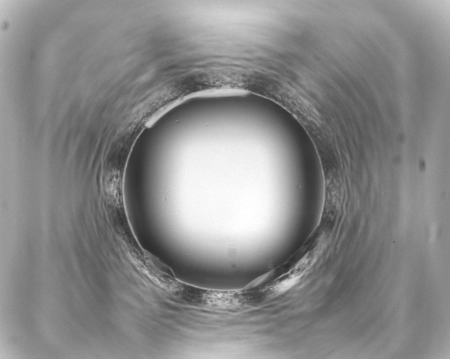 X0000088170141200705151158