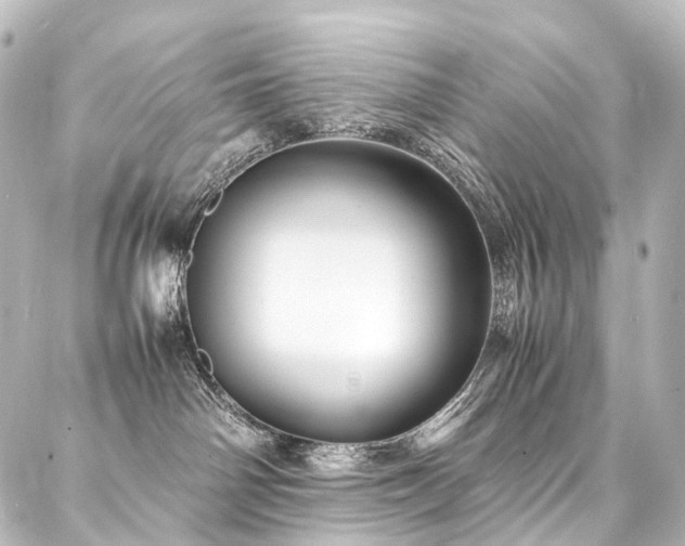 X0000088170142200705151158