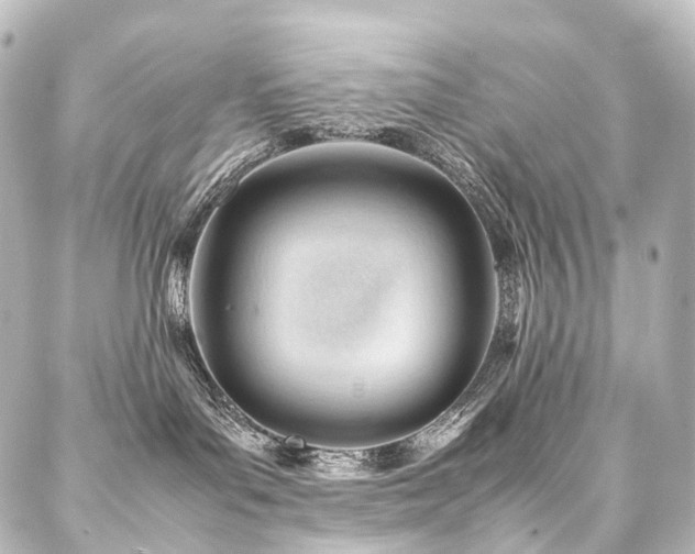 X0000088170143200705151158