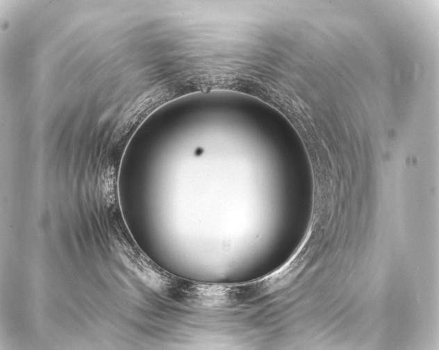 X0000088170144200705151158