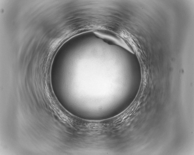 X0000088170145200705151157