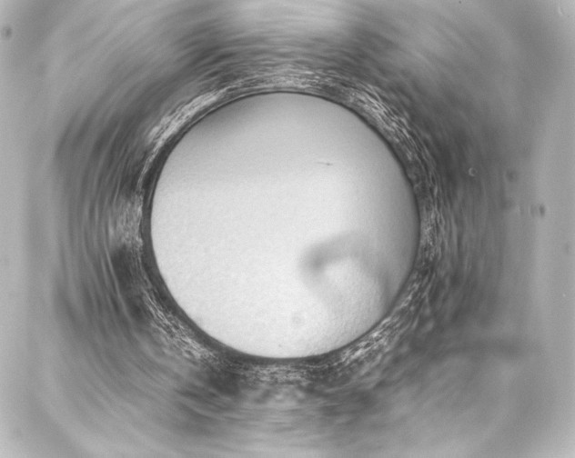 X0000088170146200705151157