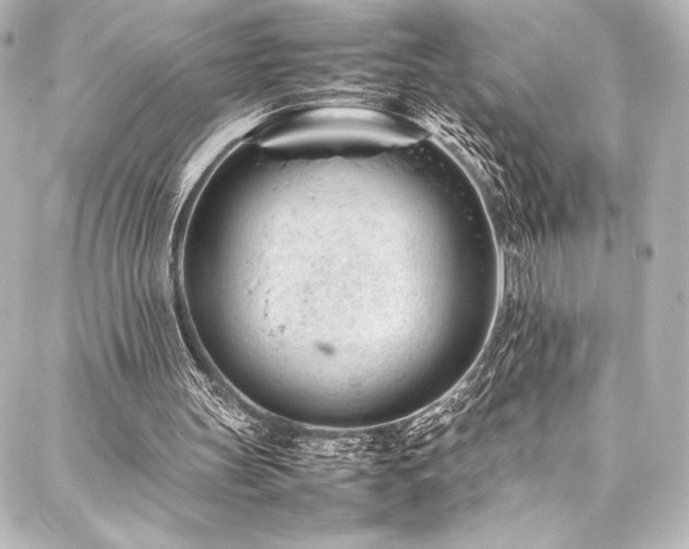 X0000088170147200705151157