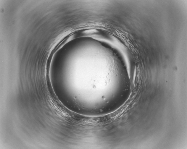 X0000088170148200705151157