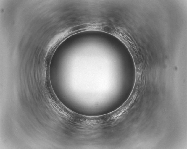 X0000088170149200705151157