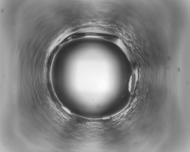 X0000088170150200705151157