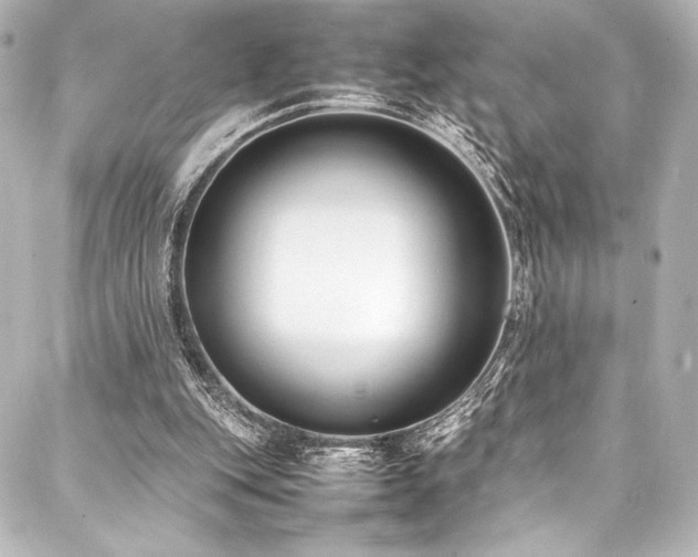 X0000088170151200705151157