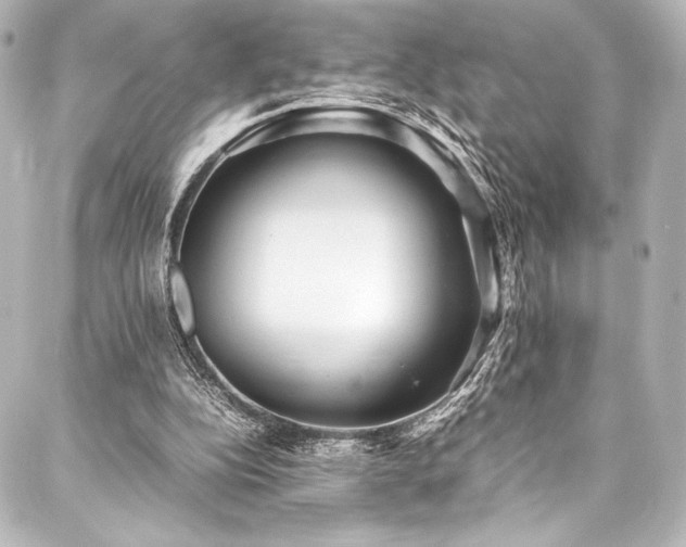 X0000088170152200705151157