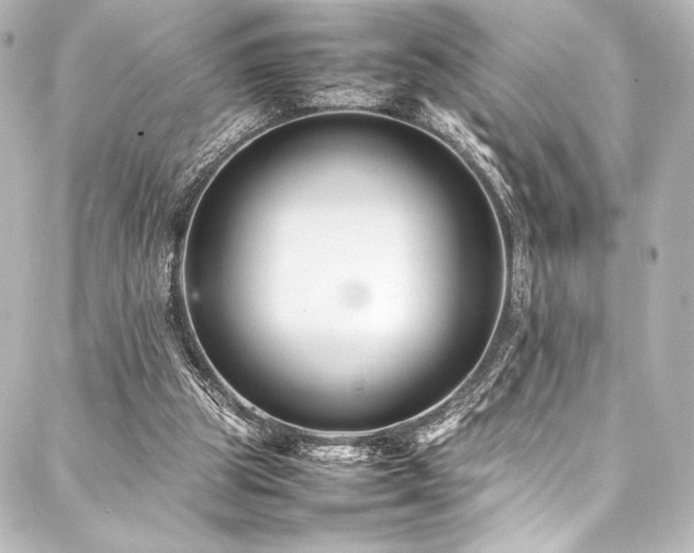 X0000088170153200705151157