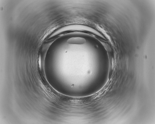 X0000088170154200705151157