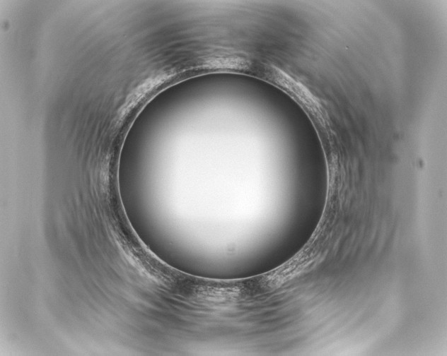 X0000088170155200705151157