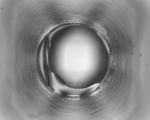 X0000088170156200705151157