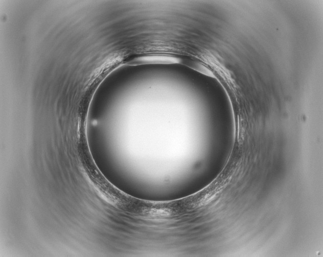 X0000088170157200705151157