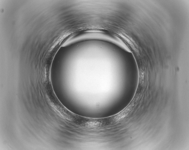 X0000088170158200705151157