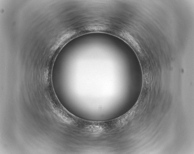 X0000088170159200705151157