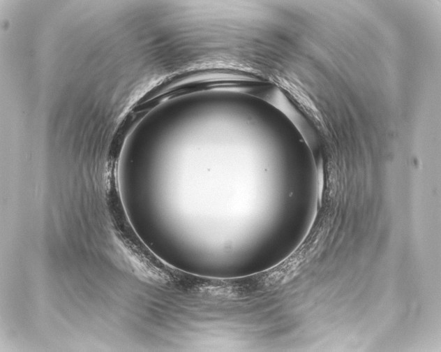 X0000088170160200705151157