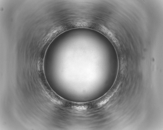 X0000088170161200705151157