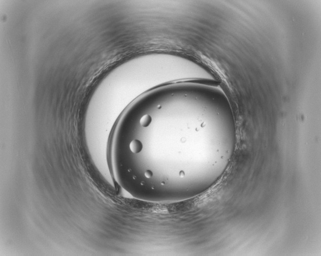 X0000088170162200705151157