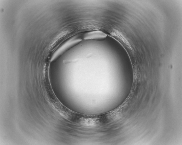 X0000088170163200705151157