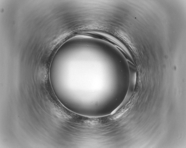 X0000088170164200705151157