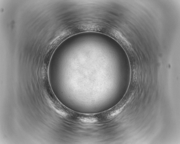 X0000088170165200705151157