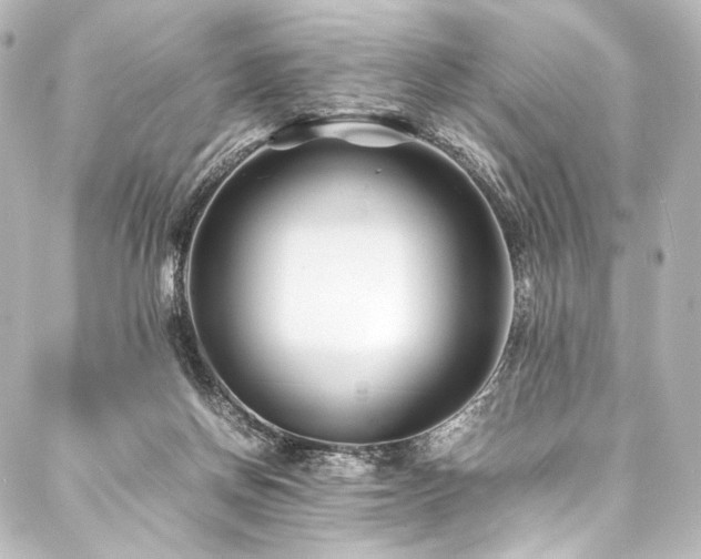 X0000088170166200705151157