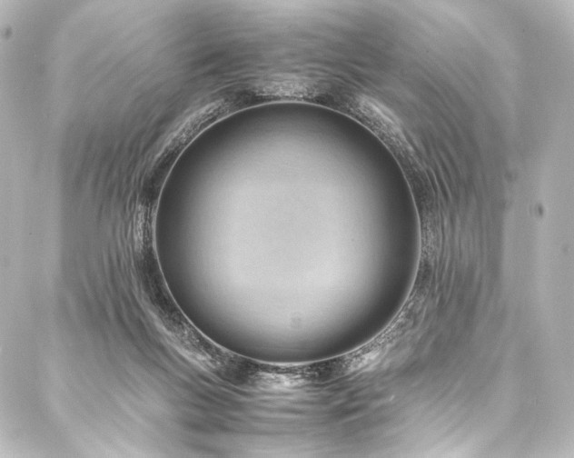 X0000088170167200705151157