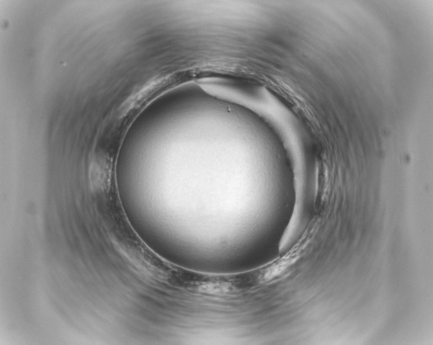 X0000088170168200705151157