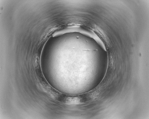 X0000088170169200705151157