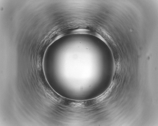 X0000088170170200705151157