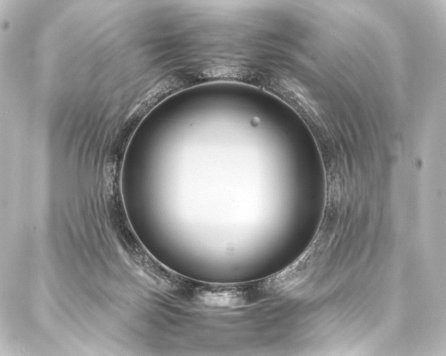 X0000088170171200705151158