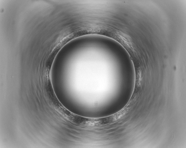 X0000088170172200705151158