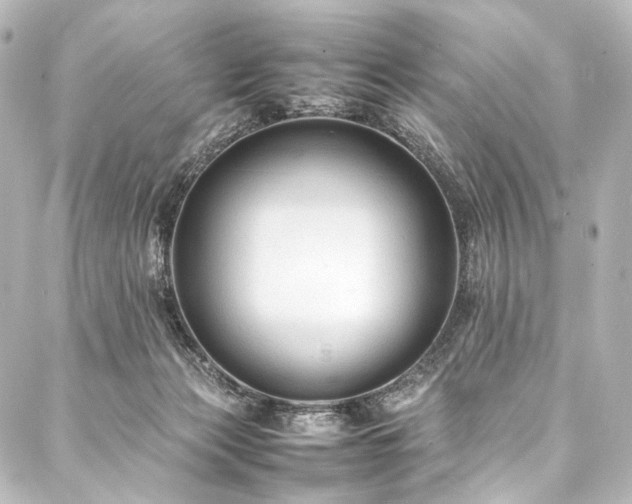 X0000088170173200705151158