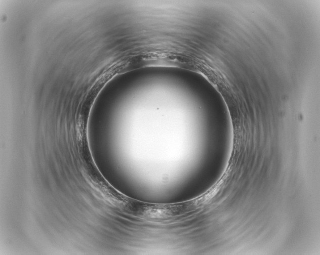 X0000088170174200705151158