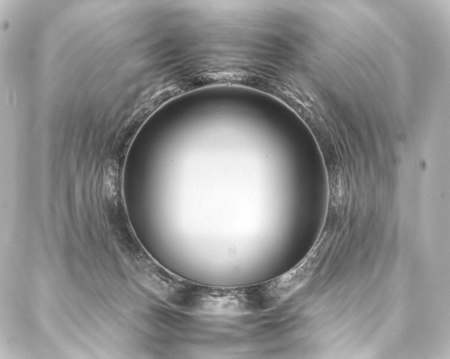 X0000088170175200705151158