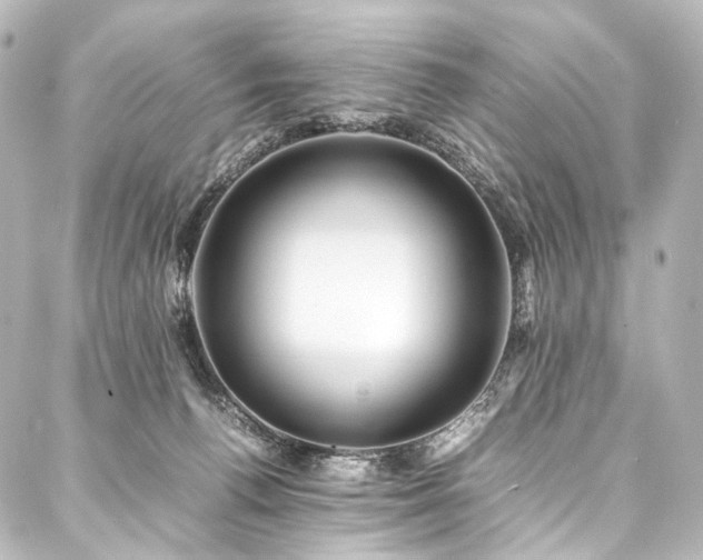 X0000088170176200705151158