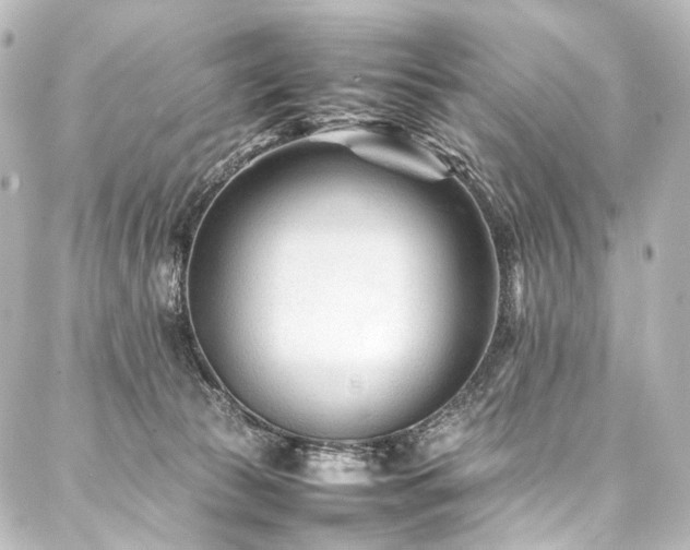 X0000088170177200705151158