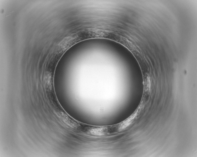 X0000088170178200705151158