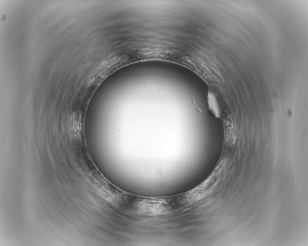 X0000088170179200705151158