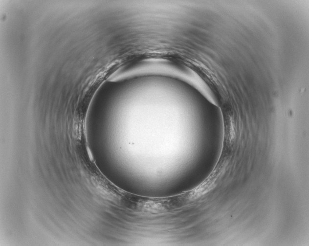 X0000088170180200705151158