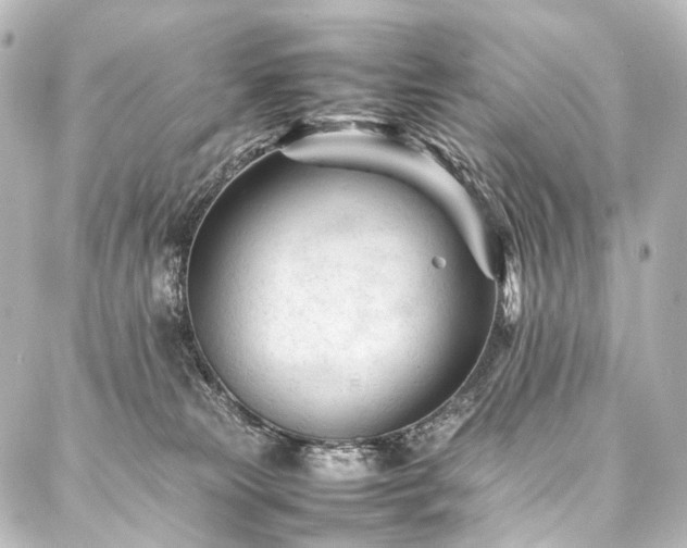 X0000088170181200705151158