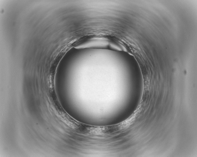 X0000088170182200705151158