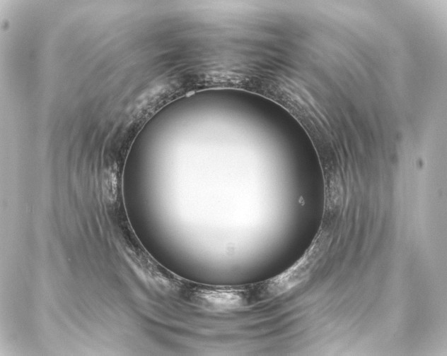 X0000088170183200705151158