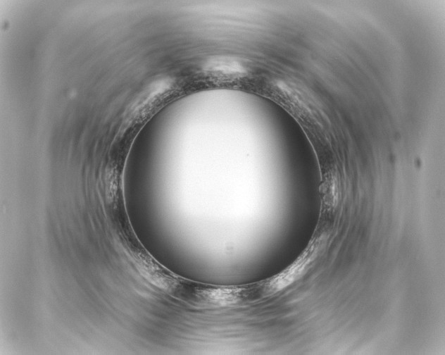 X0000088170184200705151158