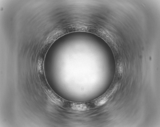 X0000088170185200705151158