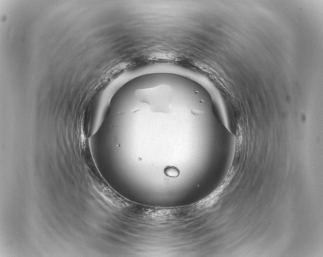 X0000088170186200705151158