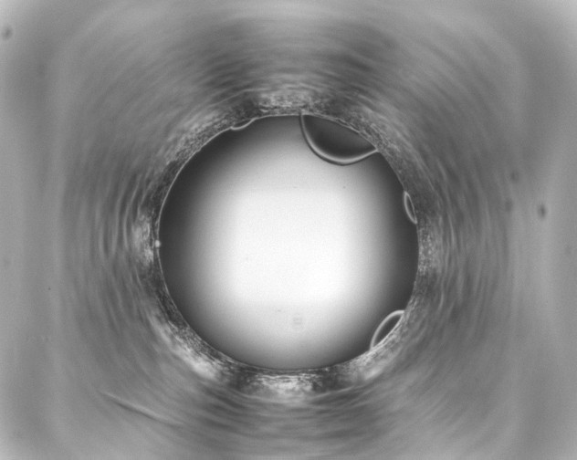 X0000088170187200705151158