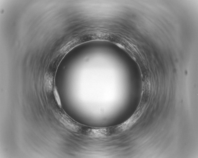 X0000088170188200705151158